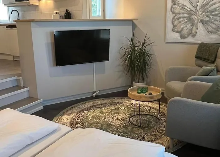 Lumikontupa 公寓 *